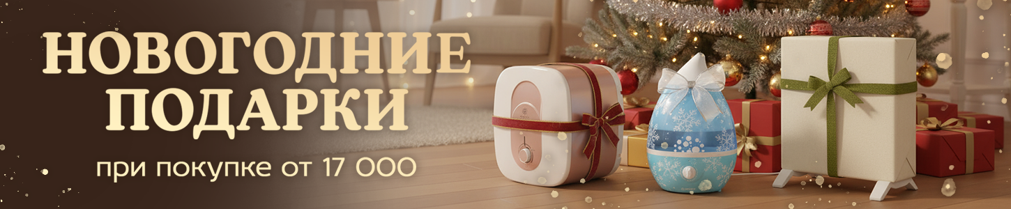 Новогодняя акция 2026