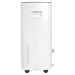 Осушитель воздуха Royal Clima Carisma Villa RD-CR40-E